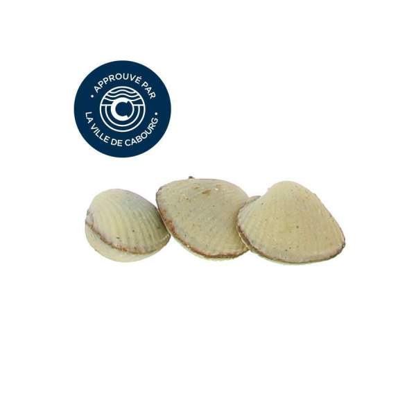 Réglette 3 coques de Cabourg chocolat fleur de sel
