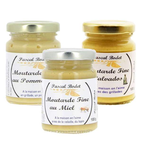 Lot de 3 moutardes normandes Bodet 3x100g