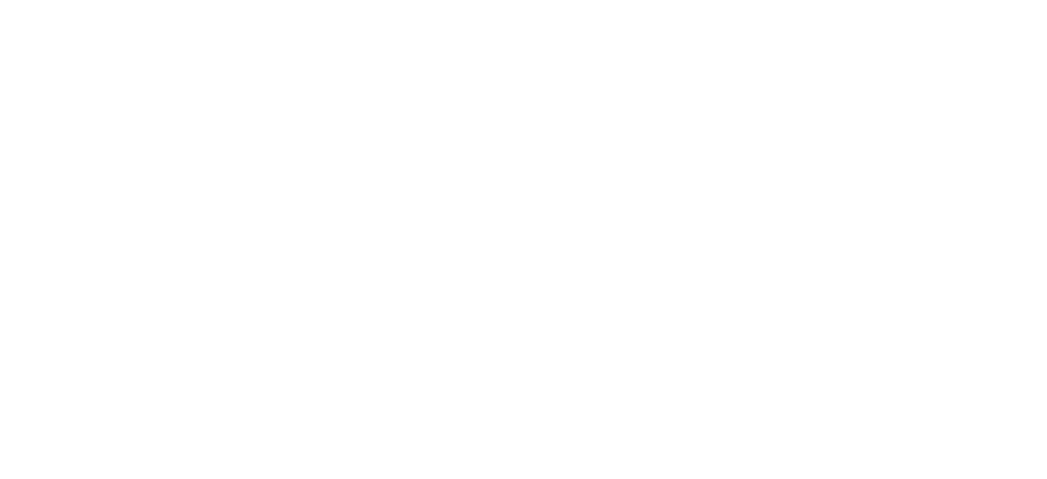 logo chronopost