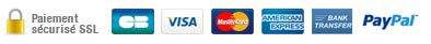 paiement logo